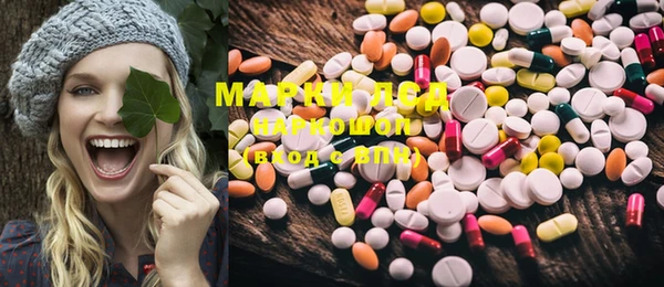 PSILOCYBIN Ишимбай
