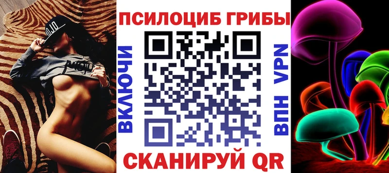 Галлюциногенные грибы Psilocybe  купить наркотик  Спасск-Рязанский 